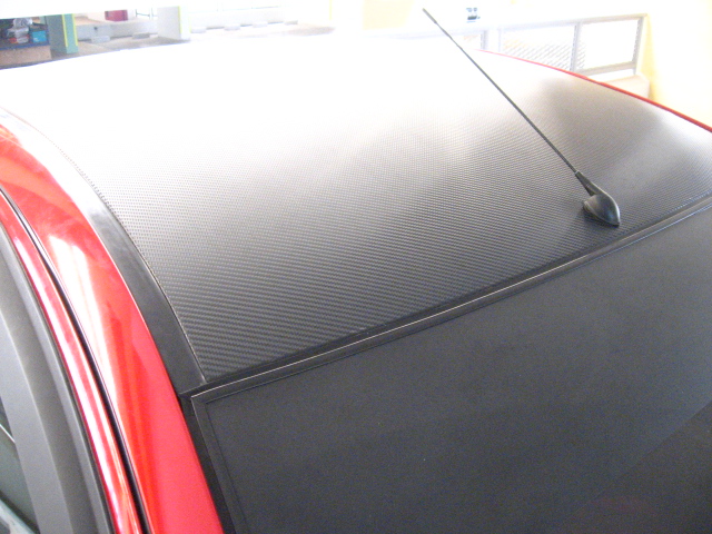 Roof (Gen2) -Semi GLoss CF